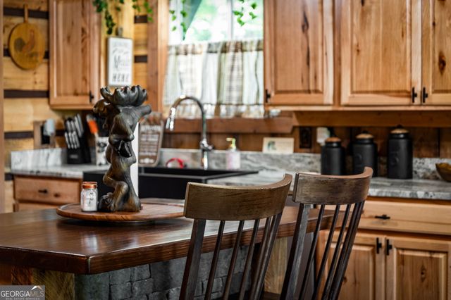 309 Elmwood Circle, Ellijay, GA 30540