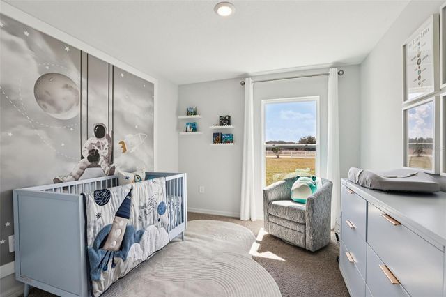 206 BULL FROG LANE, Umatilla, FL 32784