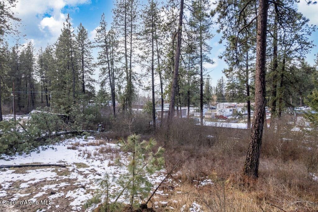 293 F ST, Plummer, ID 83851 photo 4