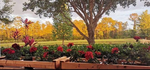 14321 PEACOCK SPRINGS TRAIL, Orlando, FL 32828