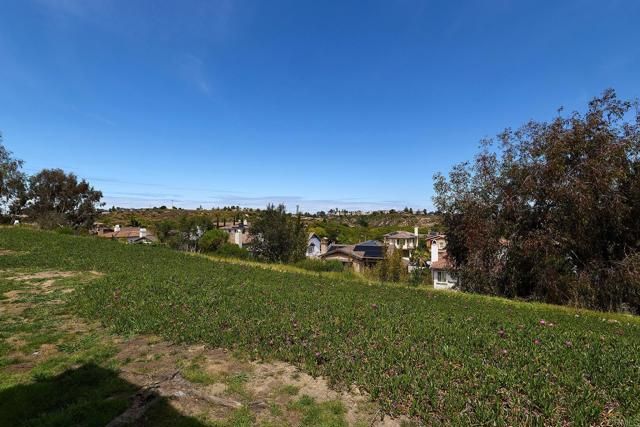 1972 Swallow Lane, Carlsbad, CA 92009