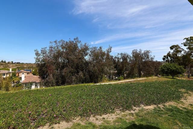 1972 Swallow Lane, Carlsbad, CA 92009