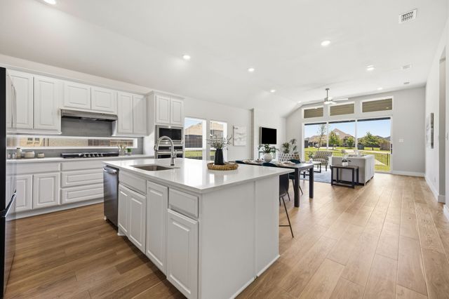 13733 Riola Drive, Little Elm, TX 75068