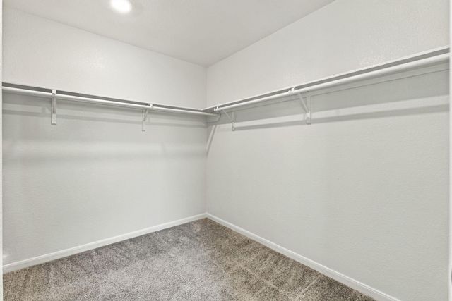 13050 Chestnut Stream Trail, Houston, TX 77070
