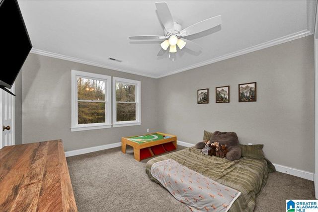 95 COUNTY ROAD 521, Hanceville, AL 35077