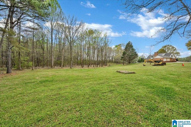 95 COUNTY ROAD 521, Hanceville, AL 35077