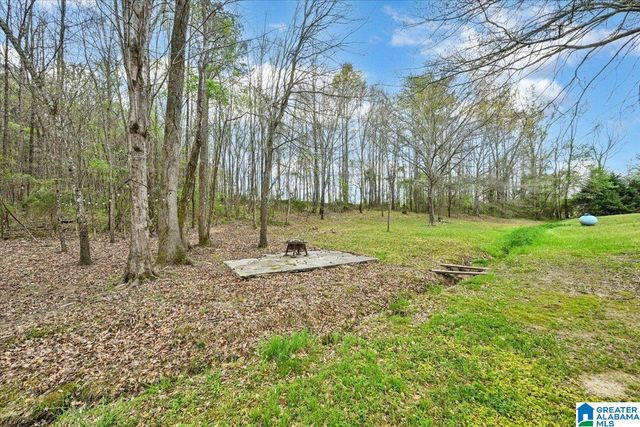 95 COUNTY ROAD 521, Hanceville, AL 35077