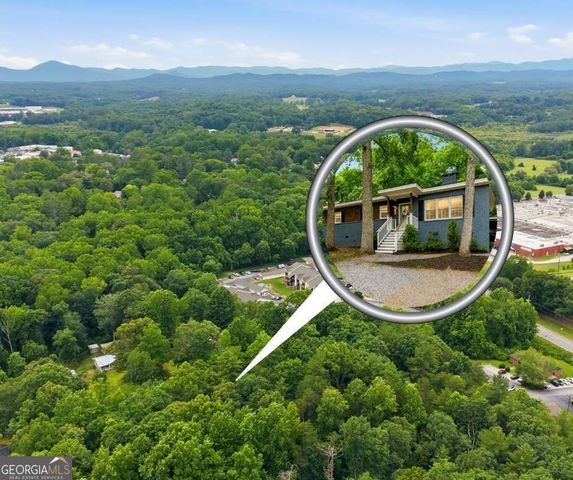 372 Gabrels Drive, Clarkesville, GA 30523