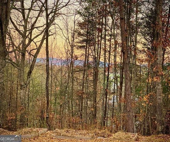 372 Gabrels Drive, Clarkesville, GA 30523