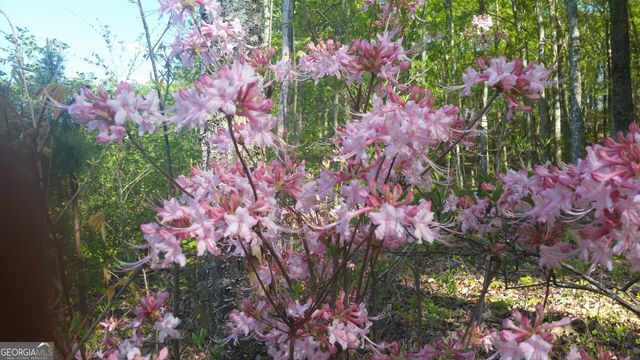 443 Back Valley Road, Chickamauga, GA 30707