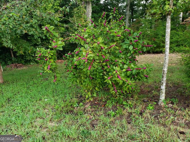 443 Back Valley Road, Chickamauga, GA 30707