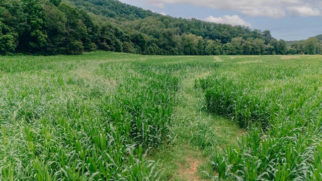 27225 Virgil H Goode Hwy, Boones Mill, VA 24065