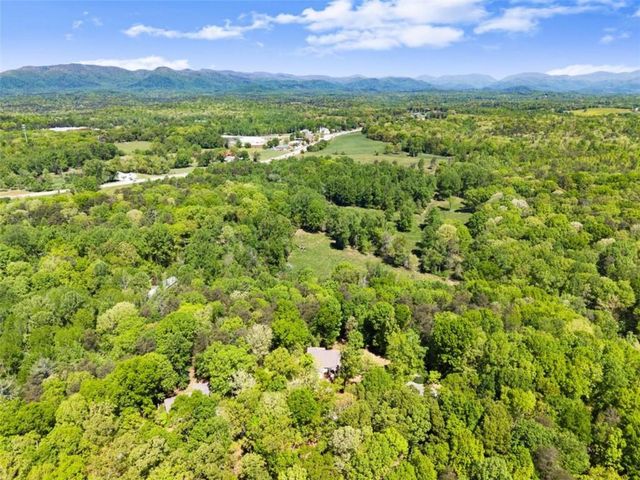 45 Holcomb Drive, Cleveland, GA 30528