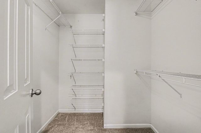 1366 Sassafrass Circle, Mount Pleasant, SC 29466