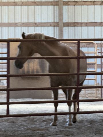 870 Oak Plains Rd, Clarksville, TN 37043