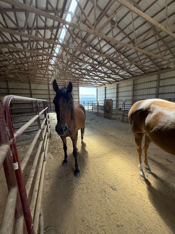 870 Oak Plains Rd, Clarksville, TN 37043