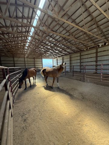 870 Oak Plains Rd, Clarksville, TN 37043