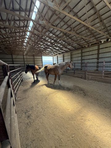 870 Oak Plains Rd, Clarksville, TN 37043