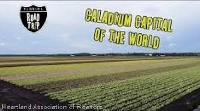 160 Mango Road NE, Lake Placid, FL 33852