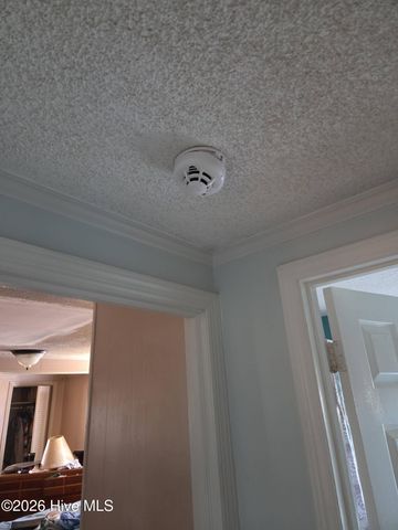 131 Gum Neck Road, Belhaven, NC 27810