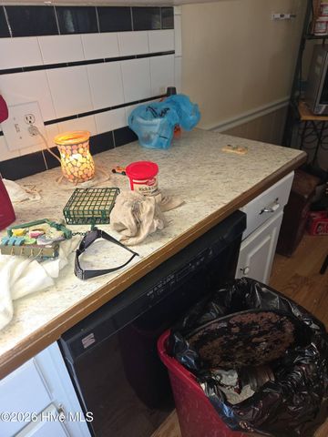 131 Gum Neck Road, Belhaven, NC 27810