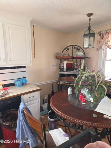 131 Gum Neck Road, Belhaven, NC 27810