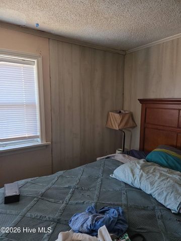 131 Gum Neck Road, Belhaven, NC 27810