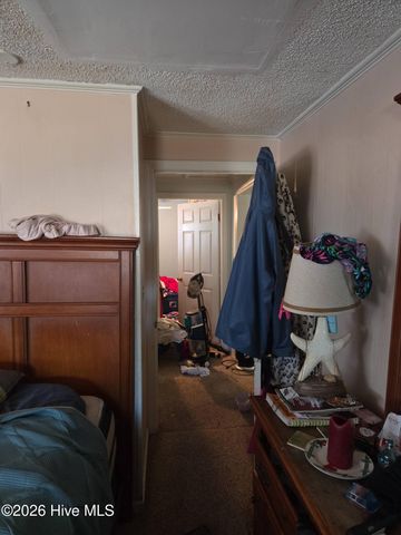 131 Gum Neck Road, Belhaven, NC 27810