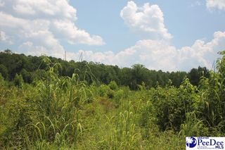 TBD Sweeney Rd, Chesterfield, SC 29709