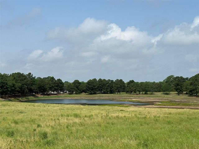 103 Bonham LN, Paige, TX 78659