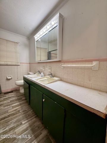 1420 Lum Brown Road, Williamston, NC 27892