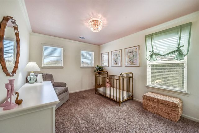 29111 Parker Trace Drive, Fulshear, TX 77441