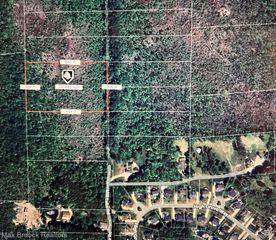 vac Mill Lake Road, Lake Orion Village, MI 48359