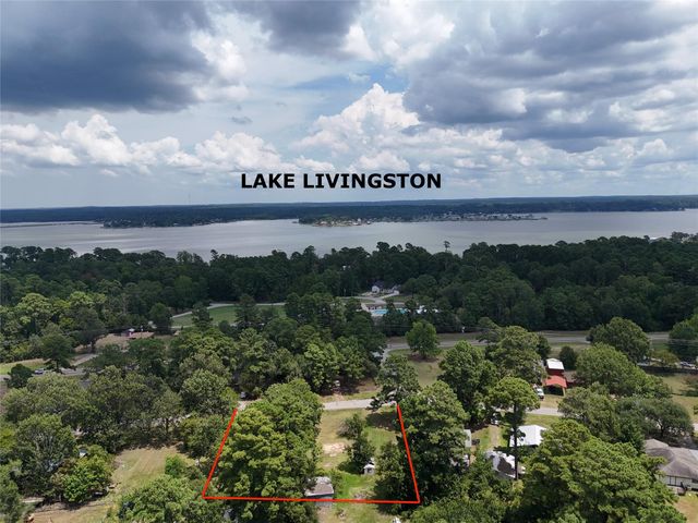 305 Oak Ridge Drive, Onalaska, TX 77360