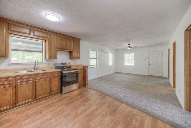 305 Oak Ridge Drive, Onalaska, TX 77360