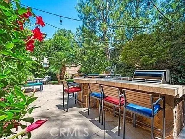 46 Pawprint, Irvine, CA 92618