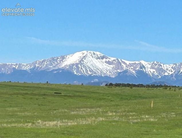 19210 Mariah Trail, Colorado Springs, CO 80908