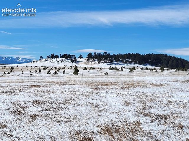19210 Mariah Trail, Colorado Springs, CO 80908