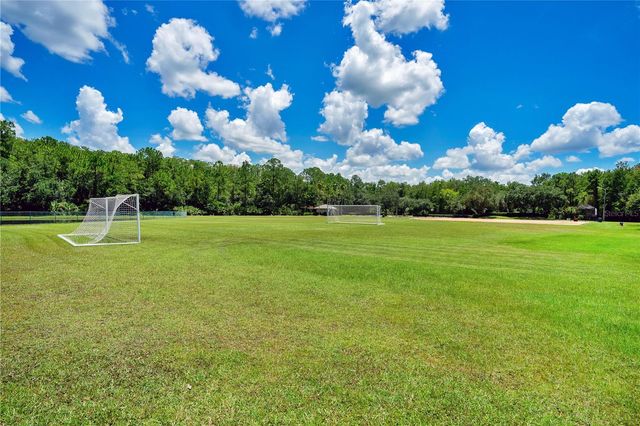 14224 SQUIRREL RUN, Orlando, FL 32828