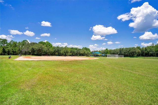 14224 SQUIRREL RUN, Orlando, FL 32828