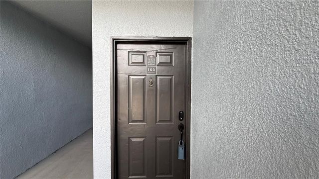16303 ENCLAVE VILLAGE DRIVE 103, Tampa, FL 33647