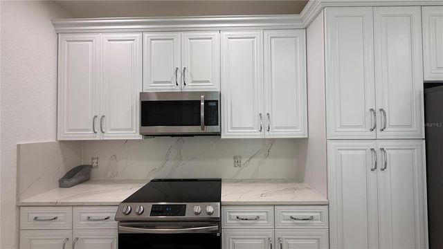 16303 ENCLAVE VILLAGE DRIVE 103, Tampa, FL 33647