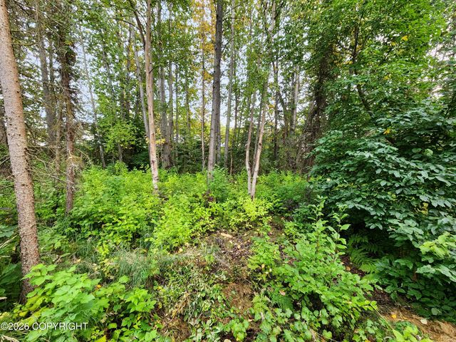 6544 Desiree Loop, Anchorage, AK 99507
