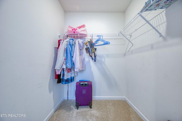 136 Ibis Loop, Oak Ridge, TN 37830