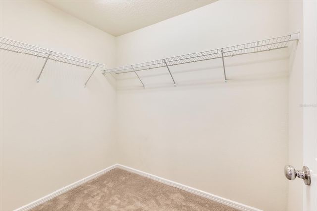 14279 SAPELO BEACH DRIVE, Orlando, FL 32827