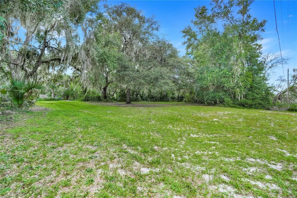 SELMAN ROAD, Leesburg, FL 34748