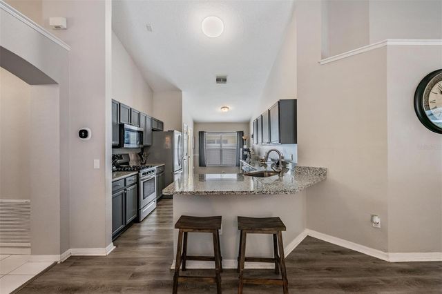 18955 WOOD SAGE DRIVE, Tampa, FL 33647