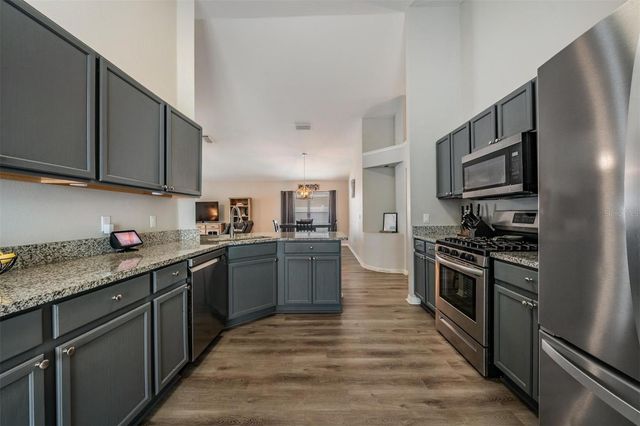 18955 WOOD SAGE DRIVE, Tampa, FL 33647