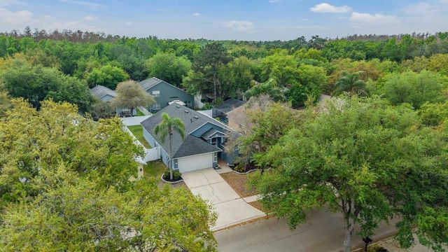 18955 WOOD SAGE DRIVE, Tampa, FL 33647