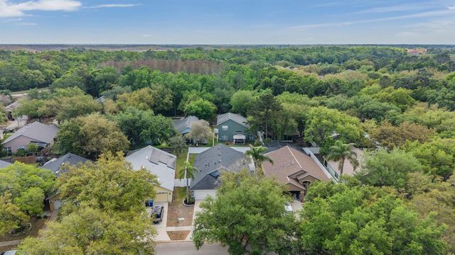 18955 WOOD SAGE DRIVE, Tampa, FL 33647